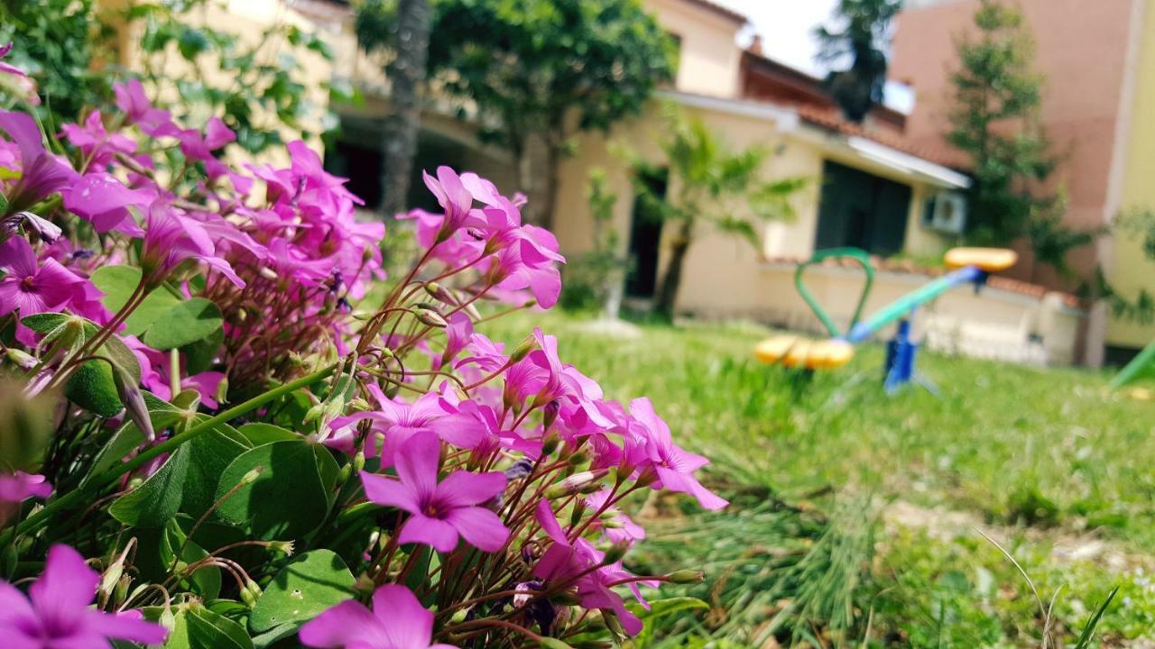 Apartmani Koin Medulin Luaran gambar